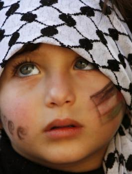 نسبة الاطفال في فلسطين 