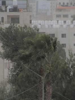 حالة الطقس في