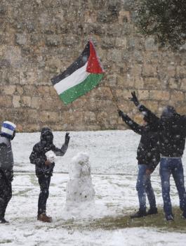 الثلوج في فلسطين 