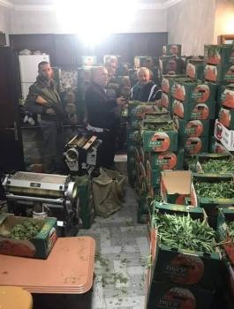 ضبط مخدرات في اريحا 