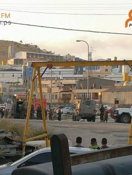 الاحتلال يعتقل شاباً بزعم محاولته تنفيذ عملية جنوب الخليل