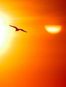 حالة الطقس في فلسطين 