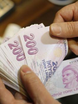 الليرة التركية والدولار 