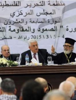 اجتماعات المجلس المركزي 