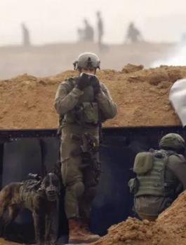 ea0efc6c7119b5b69da5ae3a34986b1e