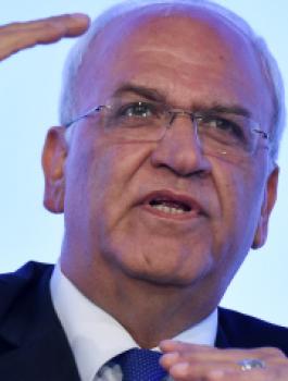 n-SAEB-EREKAT-large570