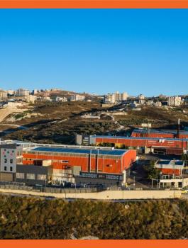 توزيع ارباح نابكو 