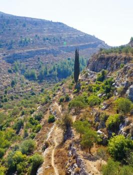 ما هي أكثر المدن الفلسطينية زيارة؟