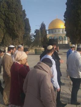 المستوطنين اقتحامات الأقصى 