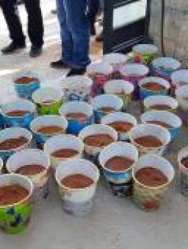 اكتشاف 137 وعاء مزروعا ببذور مخدرات في جنين
