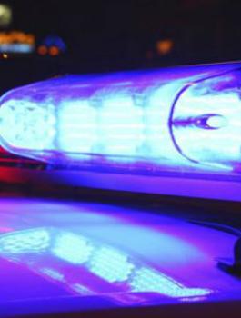 sirena-1895777_9563110_ver1.0_640_480