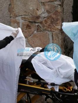 فيروس كورونا في اميركا 