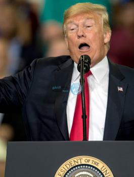 فلسطين وترامب 