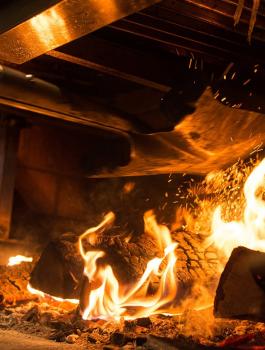 الطهور والحطب والانسان