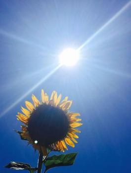 حالة الطقس في فلسطين