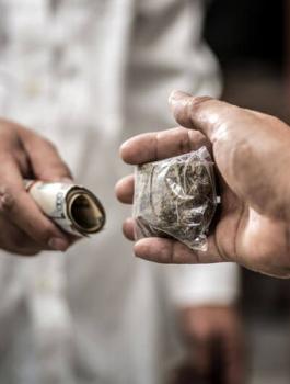 التجارة في المخدرات وفلسطين