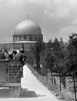 تنزيل.jpg