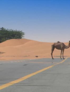 الامارات واختفاء مدينة