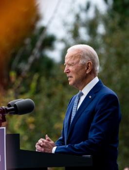 جورجيا وبايدن