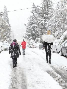 الثلوج في فلسطين