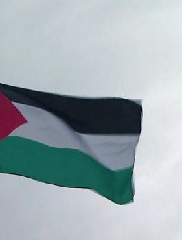 09-30-palestine-flag.jpg