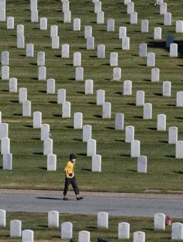 وفيات بكورونا في اميركا