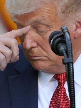 ترامب والانتخابات الامريكية