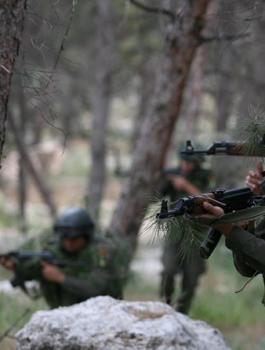 حركة فتح وجنين