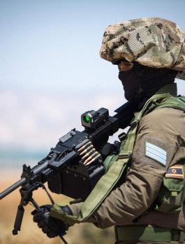 اسرائيل والجيش ودول الخليج