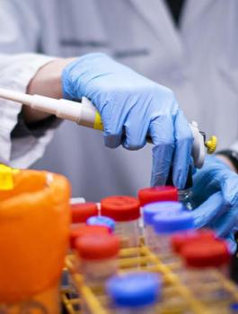 انواع جديدة من فيروس كورونا