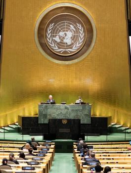 الامم المتحدة وفلسطين