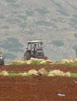 حرب الاحتلال على المزارعين في الاغوار