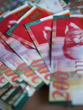 الشركات الفلسطينية واقتصاد فلسطين