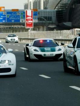 مخالفات سير في الامارات واسرائيلي