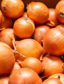 اسعار المستهلك