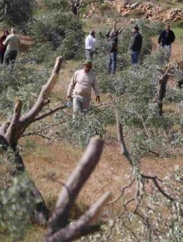 المستوطنون في بيت لحم