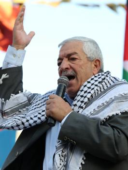 العالول والثورة