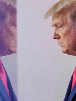 thumb.jpg