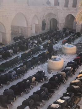 الاوقاف الاسلامية والصلاة في النبي موسى