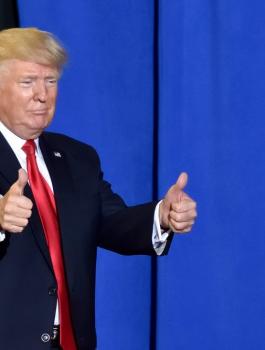 ترامب والانتخابات
