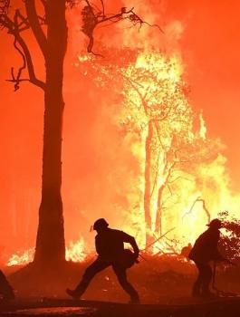 الامم المتحدة والكارثة العالمية