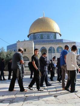 اقتحامات الاقصى