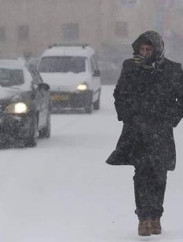 الثلوج في فلسطين