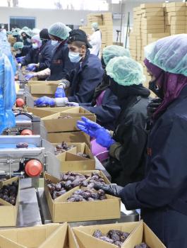 وزارة الاقتصاد