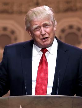 303-3032600_donald-trump-full-hd.jpg