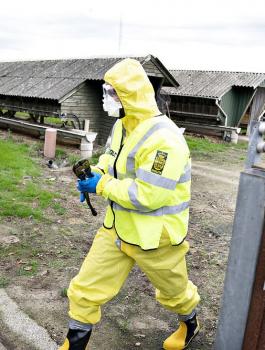 سلالة جديدة من فيروس كورونا