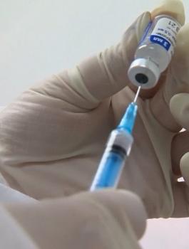 ادخال جراعات من لقاح كورونا الى قطاع غزة