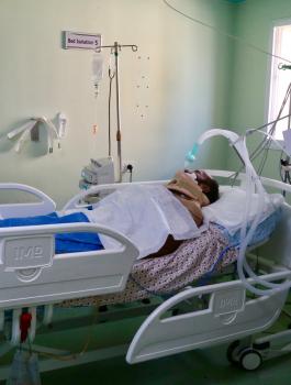 هارون.jpg