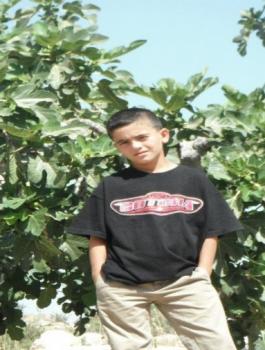 سليمان قطيش