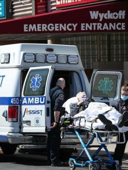 الوفيات مبفيروس كورونا في صفوف جالياتنا